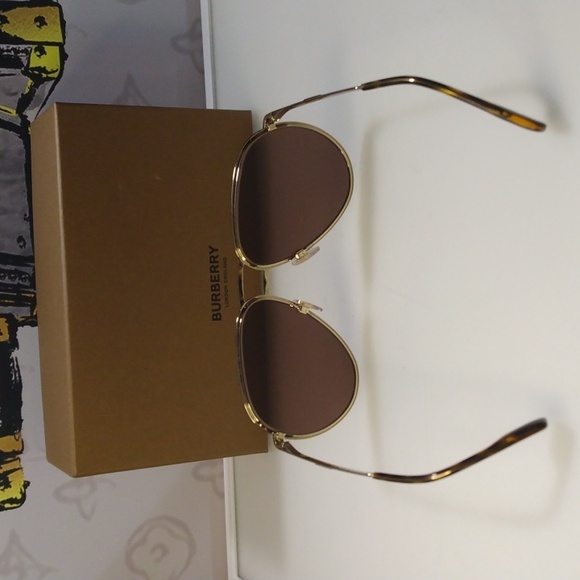 Model: B 3135' Burberry BE3135 Scott Pilot Dark Brown Sunglasses - Picture 6 of 11